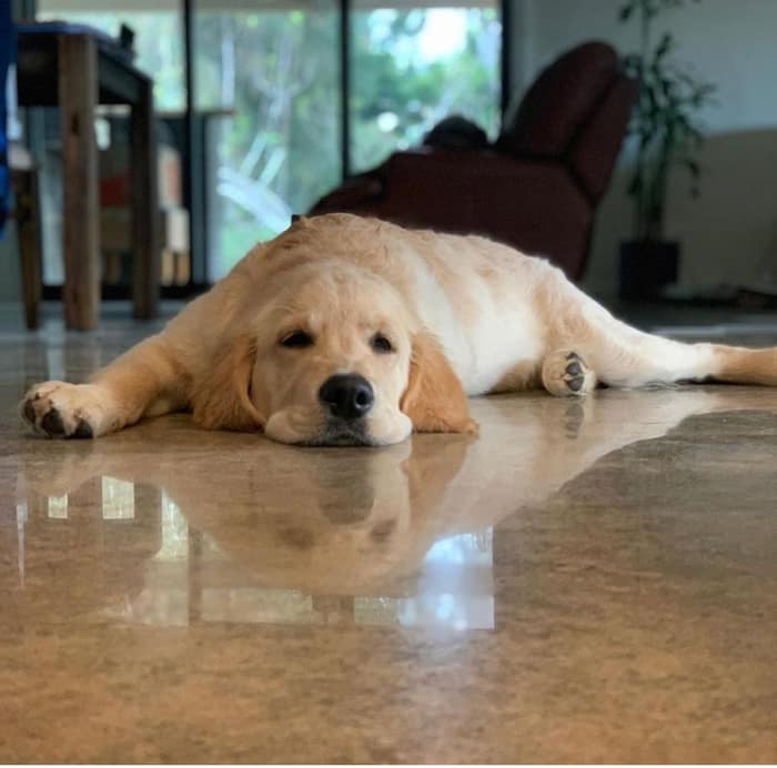 KD Flooring & Installations — customer photo