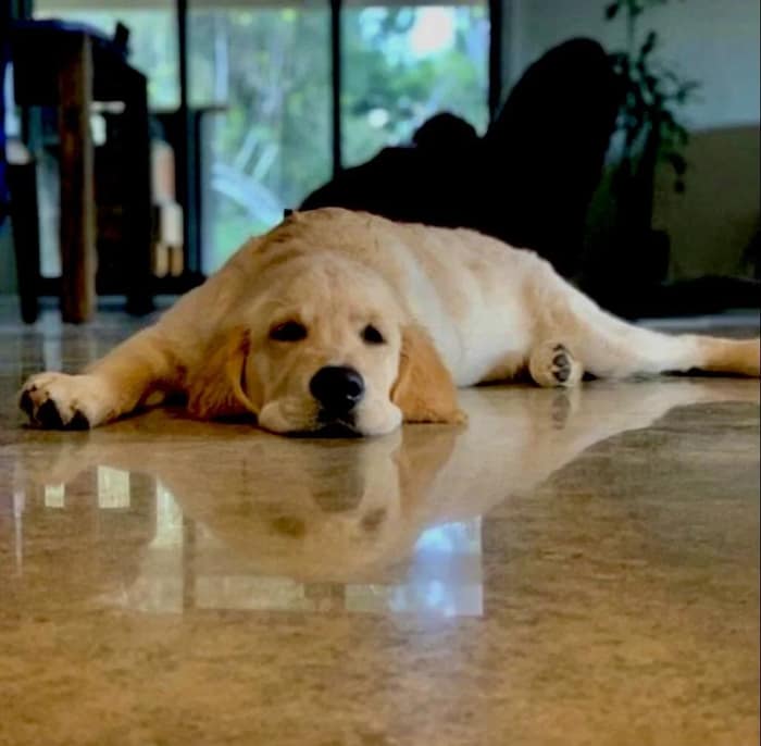 KD Flooring & Installations — customer photo