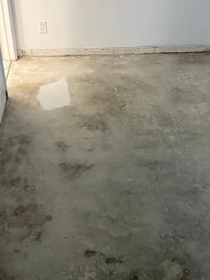 Floor Kings Epoxy, Polishing & Resurfacing Inc. — customer photo