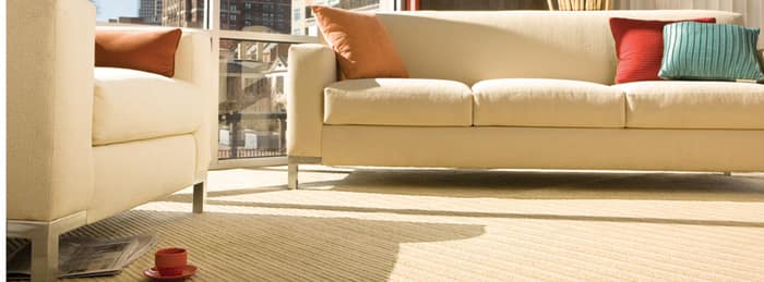 Pioneer Carpet One Floor & Home and Kiba Studios — customer photo