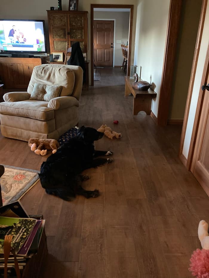 Greer's Flooring America and Kiba Studios — customer photo