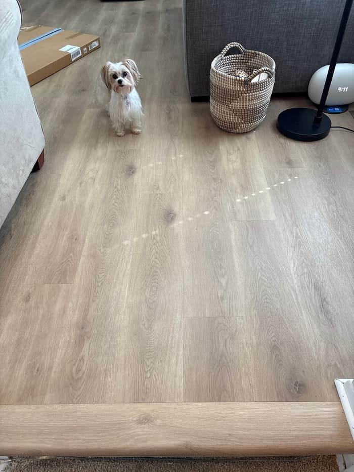 Ann Arbor Carpets Flooring America — customer photo