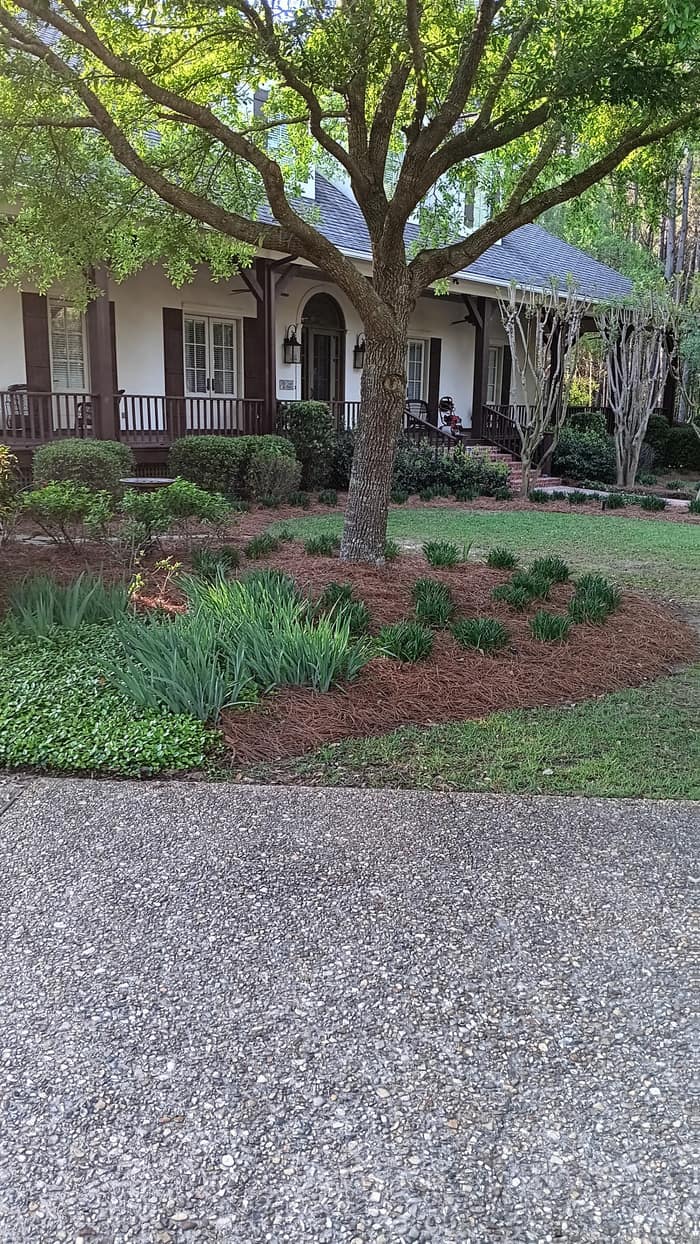 T and D Concrete and Construction — customer photo