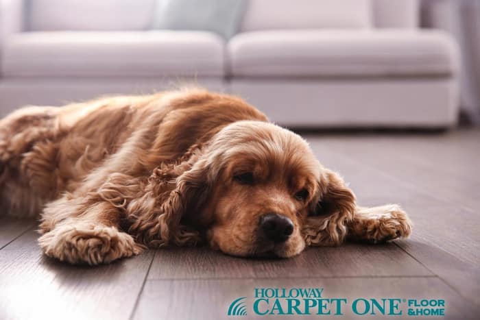 Holloway Carpet One Floor & Home — customer photo