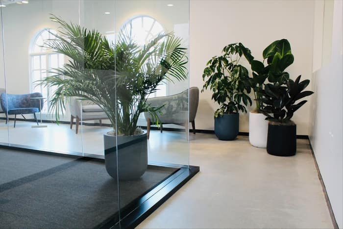 Shinecrete — customer photo