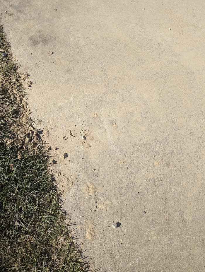 Quality Concrete Inc — customer photo