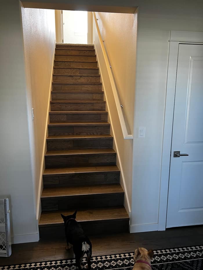 Albany Carpet One Floor & Home — customer photo