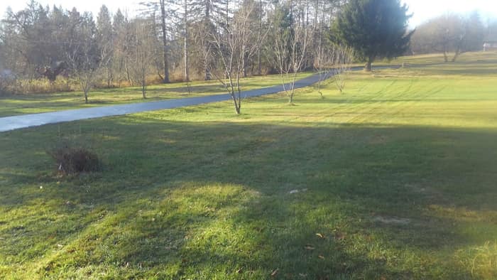 Dixon Sealer & Supply — customer photo