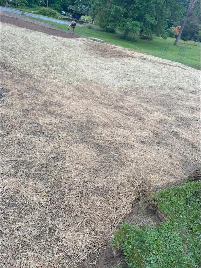 Hippo Seal - Crack Filling | Driveway Repair | Cement Coating | Pot Hole Repair | Asphalt Paving in Dalton — customer photo