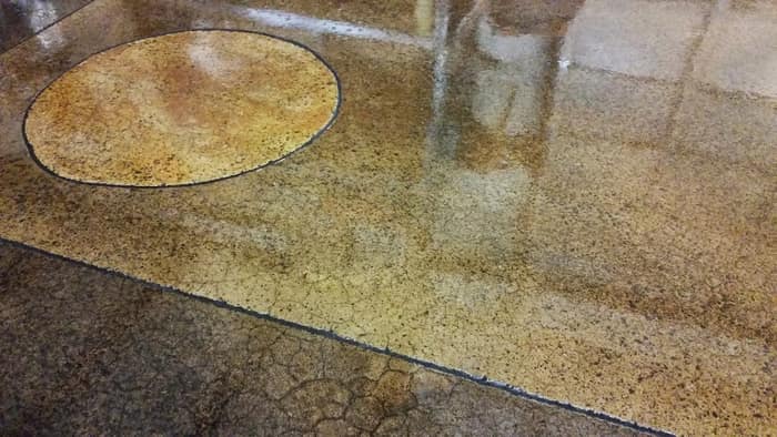 360 Solutions LLC — customer photo