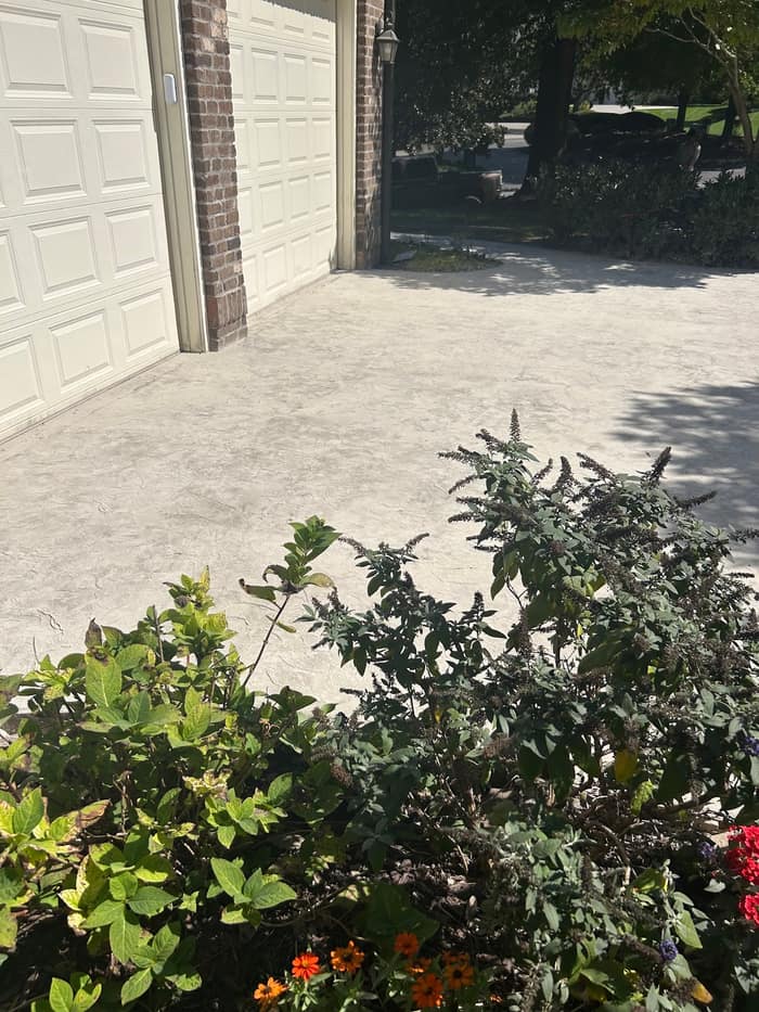 Focus Construction TN — customer photo
