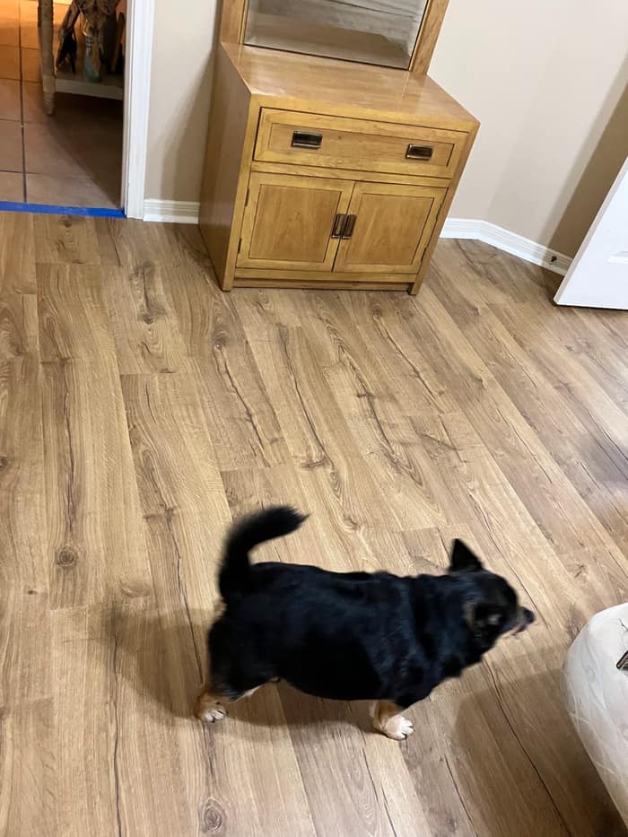Allison Flooring America — customer photo