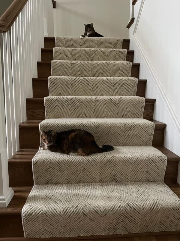 Top Floors — customer photo